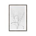 Picture of Whispering Mirage Dried Grass _GroupedProduct_Rectangle_Portrait_Photography _GroupedProduct_Rectangle_Portrait_Framed_Matted_