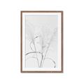 Picture of Whispering Mirage Dried Grass _GroupedProduct_Rectangle_Portrait_Photography _GroupedProduct_Rectangle_Portrait_Framed_Matted_