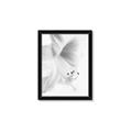 Picture of White Floral Hues _GroupedProduct_Rectangle_Portrait_Photography _GroupedProduct_Rectangle_Portrait_Framed_Matted_