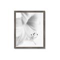 Picture of White Floral Hues _GroupedProduct_Rectangle_Portrait_Photography _GroupedProduct_Rectangle_Portrait_Framed_Matted_