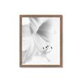 Picture of White Floral Hues _GroupedProduct_Rectangle_Portrait_Photography _GroupedProduct_Rectangle_Portrait_Framed_Matted_