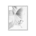 Picture of White Floral Hues _GroupedProduct_Rectangle_Portrait_Photography _GroupedProduct_Rectangle_Portrait_Framed_Matted_