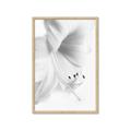 Picture of White Floral Hues _GroupedProduct_Rectangle_Portrait_Photography _GroupedProduct_Rectangle_Portrait_Framed_Matted_