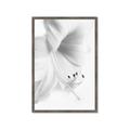 Picture of White Floral Hues _GroupedProduct_Rectangle_Portrait_Photography _GroupedProduct_Rectangle_Portrait_Framed_Matted_