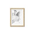 Picture of White Floral Hues _GroupedProduct_Rectangle_Portrait_Photography _GroupedProduct_Rectangle_Portrait_Framed_Matted_