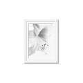 Picture of White Floral Hues _GroupedProduct_Rectangle_Portrait_Photography _GroupedProduct_Rectangle_Portrait_Framed_Matted_