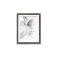 Picture of White Floral Hues _GroupedProduct_Rectangle_Portrait_Photography _GroupedProduct_Rectangle_Portrait_Framed_Matted_