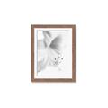 Picture of White Floral Hues _GroupedProduct_Rectangle_Portrait_Photography _GroupedProduct_Rectangle_Portrait_Framed_Matted_