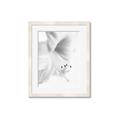 Picture of White Floral Hues _GroupedProduct_Rectangle_Portrait_Photography _GroupedProduct_Rectangle_Portrait_Framed_Matted_