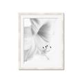 Picture of White Floral Hues _GroupedProduct_Rectangle_Portrait_Photography _GroupedProduct_Rectangle_Portrait_Framed_Matted_