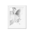 Picture of White Floral Hues _GroupedProduct_Rectangle_Portrait_Photography _GroupedProduct_Rectangle_Portrait_Framed_Matted_