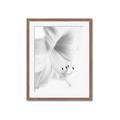 Picture of White Floral Hues _GroupedProduct_Rectangle_Portrait_Photography _GroupedProduct_Rectangle_Portrait_Framed_Matted_