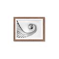 Picture of La Escalera _GroupedProduct_Rectangle_Landscape_Photography _GroupedProduct_Rectangle_Landscape_Framed_Matted_