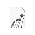 Picture of Cali Cathedrals IV _GroupedProduct_Rectangle_Portrait_Photography _GroupedProduct_Rectangle_Portrait_Unframed_Print_Only_