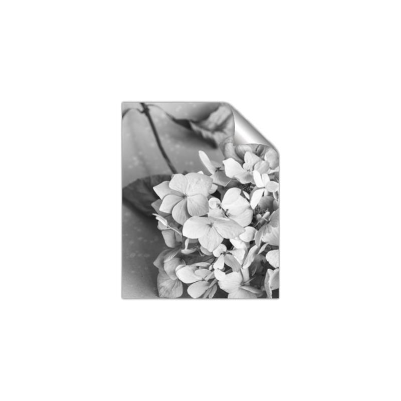 Picture of The Flowers He Gave _GroupedProduct_Rectangle_Portrait_Photography _GroupedProduct_Rectangle_Portrait_Unframed_Print_Only_