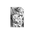 Picture of The Flowers He Gave _GroupedProduct_Rectangle_Portrait_Photography _GroupedProduct_Rectangle_Portrait_Unframed_Print_Only_