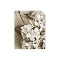 Picture of The Flowers He Gave _GroupedProduct_Rectangle_Portrait_Photography _GroupedProduct_Rectangle_Portrait_Unframed_Print_Only_