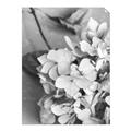 Picture of The Flowers He Gave _GroupedProduct_Rectangle_Portrait_Photography _GroupedProduct_Rectangle_Portrait_Unframed_Print_Only_