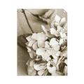 Picture of The Flowers He Gave _GroupedProduct_Rectangle_Portrait_Photography _GroupedProduct_Rectangle_Portrait_Unframed_Print_Only_