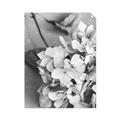 Picture of The Flowers He Gave _GroupedProduct_Rectangle_Portrait_Photography _GroupedProduct_Rectangle_Portrait_Unframed_Print_Only_
