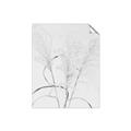 Picture of Whispering Mirage Dried Grass _GroupedProduct_Rectangle_Portrait_Photography _GroupedProduct_Rectangle_Portrait_Unframed_Print_Only_