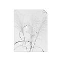 Picture of Whispering Mirage Dried Grass _GroupedProduct_Rectangle_Portrait_Photography _GroupedProduct_Rectangle_Portrait_Unframed_Print_Only_