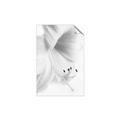 Picture of White Floral Hues _GroupedProduct_Rectangle_Portrait_Photography _GroupedProduct_Rectangle_Portrait_Unframed_Print_Only_
