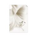 Picture of White Floral Hues _GroupedProduct_Rectangle_Portrait_Photography _GroupedProduct_Rectangle_Portrait_Unframed_Print_Only_