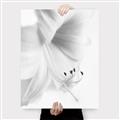 Picture of White Floral Hues _GroupedProduct_Rectangle_Portrait_Photography _GroupedProduct_Rectangle_Portrait_Canvas_