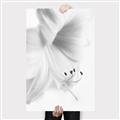 Picture of White Floral Hues _GroupedProduct_Rectangle_Portrait_Photography _GroupedProduct_Rectangle_Portrait_Canvas_