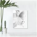 Picture of White Floral Hues _GroupedProduct_Rectangle_Portrait_Photography _GroupedProduct_Rectangle_Portrait_Canvas_
