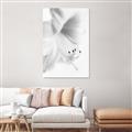 Picture of White Floral Hues _GroupedProduct_Rectangle_Portrait_Photography _GroupedProduct_Rectangle_Portrait_Canvas_