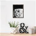 Picture of Moon Landing _GroupedProduct_Rectangle_Portrait_Photography _GroupedProduct_Rectangle_Portrait_Canvas_Framed_