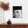 Picture of Moon Landing _GroupedProduct_Rectangle_Portrait_Photography _GroupedProduct_Rectangle_Portrait_Canvas_Framed_