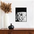Picture of Moon Landing _GroupedProduct_Rectangle_Portrait_Photography _GroupedProduct_Rectangle_Portrait_Canvas_Framed_