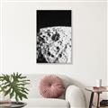 Picture of Moon Landing _GroupedProduct_Rectangle_Portrait_Photography _GroupedProduct_Rectangle_Portrait_Canvas_Framed_