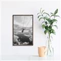 Picture of Sky High Swing _GroupedProduct_Rectangle_Portrait_Photography _GroupedProduct_Rectangle_Portrait_Canvas_Framed_