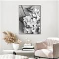 Picture of The Flowers He Gave _GroupedProduct_Rectangle_Portrait_Photography _GroupedProduct_Rectangle_Portrait_Canvas_Framed_
