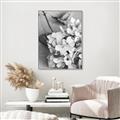 Picture of The Flowers He Gave _GroupedProduct_Rectangle_Portrait_Photography _GroupedProduct_Rectangle_Portrait_Canvas_Framed_