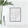 Picture of Whispering Mirage Dried Grass _GroupedProduct_Rectangle_Portrait_Photography _GroupedProduct_Rectangle_Portrait_Canvas_Framed_