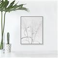 Picture of Whispering Mirage Dried Grass _GroupedProduct_Rectangle_Portrait_Photography _GroupedProduct_Rectangle_Portrait_Canvas_Framed_