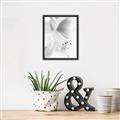 Picture of White Floral Hues _GroupedProduct_Rectangle_Portrait_Photography _GroupedProduct_Rectangle_Portrait_Canvas_Framed_