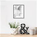 Picture of White Floral Hues _GroupedProduct_Rectangle_Portrait_Photography _GroupedProduct_Rectangle_Portrait_Canvas_Framed_