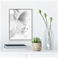 Picture of White Floral Hues _GroupedProduct_Rectangle_Portrait_Photography _GroupedProduct_Rectangle_Portrait_Canvas_Framed_