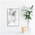 Picture of White Floral Hues _GroupedProduct_Rectangle_Portrait_Photography _GroupedProduct_Rectangle_Portrait_Canvas_Framed_