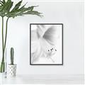 Picture of White Floral Hues _GroupedProduct_Rectangle_Portrait_Photography _GroupedProduct_Rectangle_Portrait_Canvas_Framed_