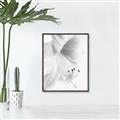 Picture of White Floral Hues _GroupedProduct_Rectangle_Portrait_Photography _GroupedProduct_Rectangle_Portrait_Canvas_Framed_