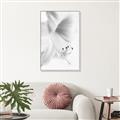 Picture of White Floral Hues _GroupedProduct_Rectangle_Portrait_Photography _GroupedProduct_Rectangle_Portrait_Canvas_Framed_