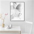 Picture of White Floral Hues _GroupedProduct_Rectangle_Portrait_Photography _GroupedProduct_Rectangle_Portrait_Canvas_Framed_