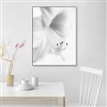 Picture of White Floral Hues _GroupedProduct_Rectangle_Portrait_Photography _GroupedProduct_Rectangle_Portrait_Canvas_Framed_
